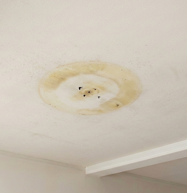 知らないと損！賃貸物件の照明設備トラブルを防ぐ点検ポイントと交換のルール｜シーリングライト（天井照明）の 照明器具点検交換電気工事｜神奈川県川崎市幸区